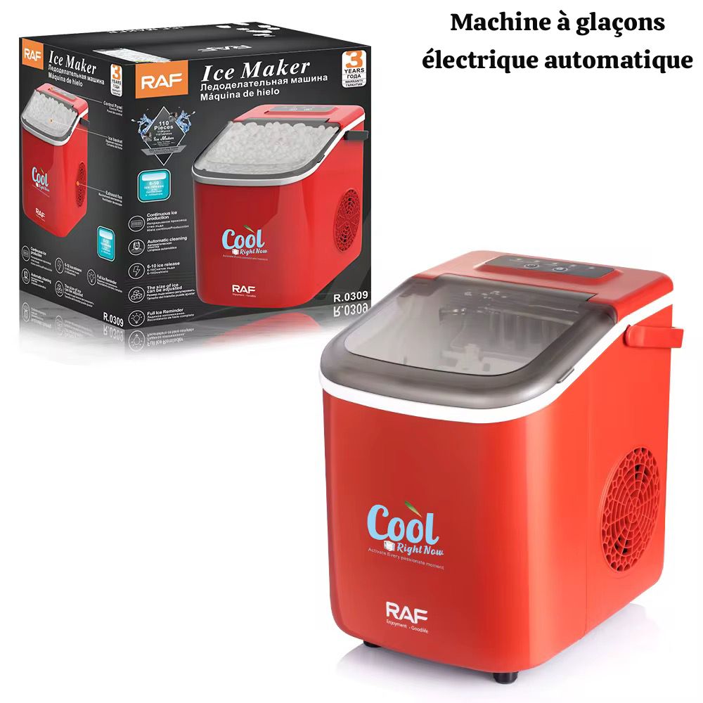 55000fcfa Machine à Glaçons RAF R.0309