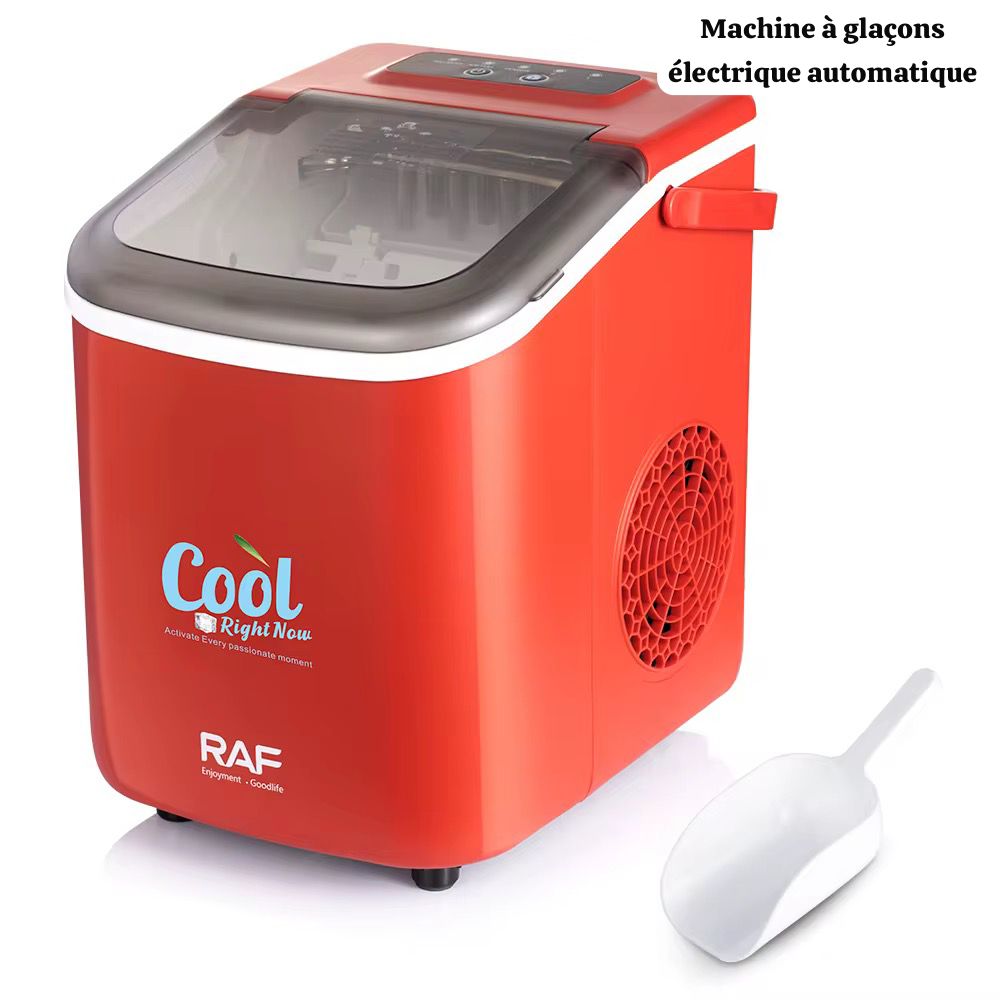 55000fcfa Machine à Glaçons RAF R.0309